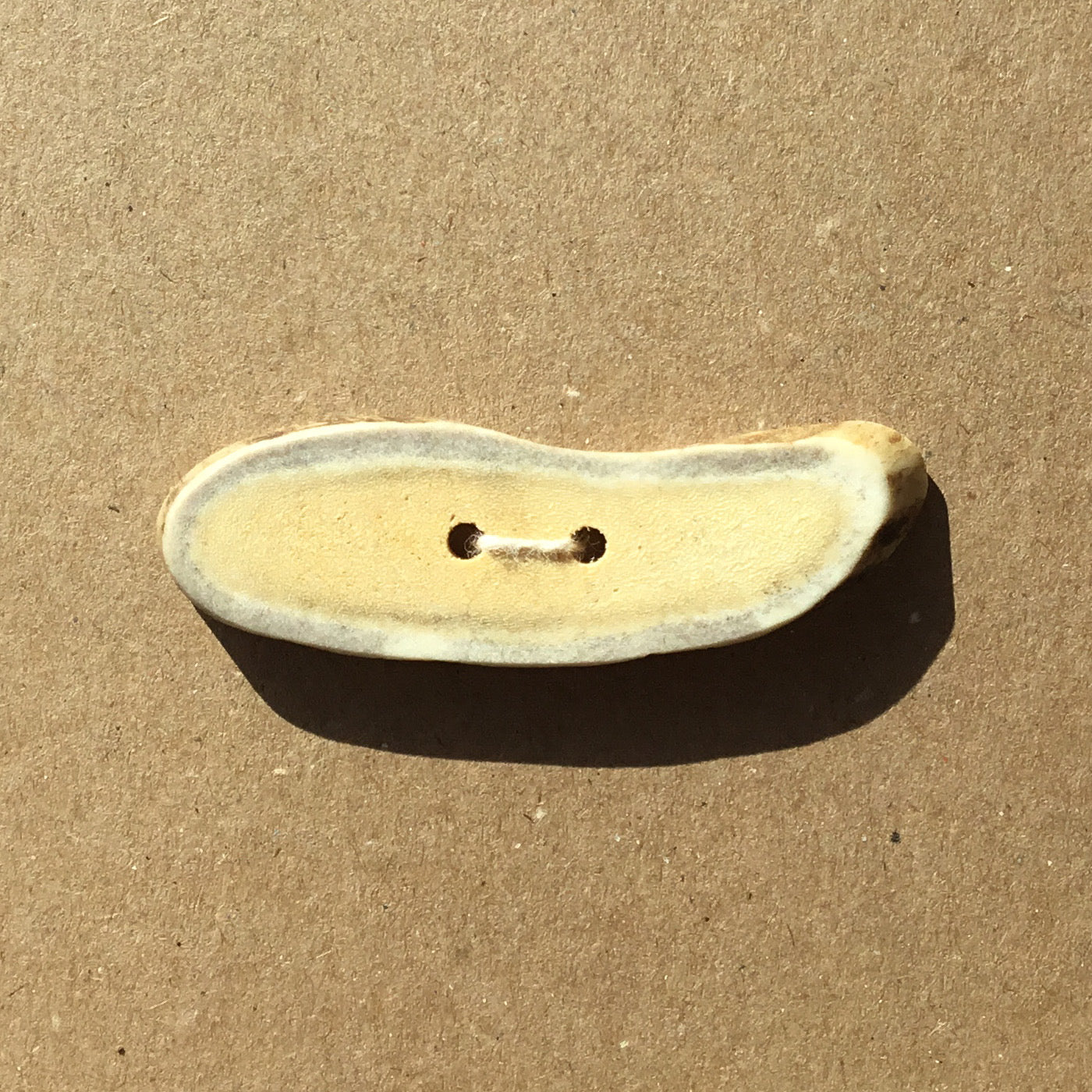 Polished Deer Antler Shed Button 2-5/8" x 3/4"