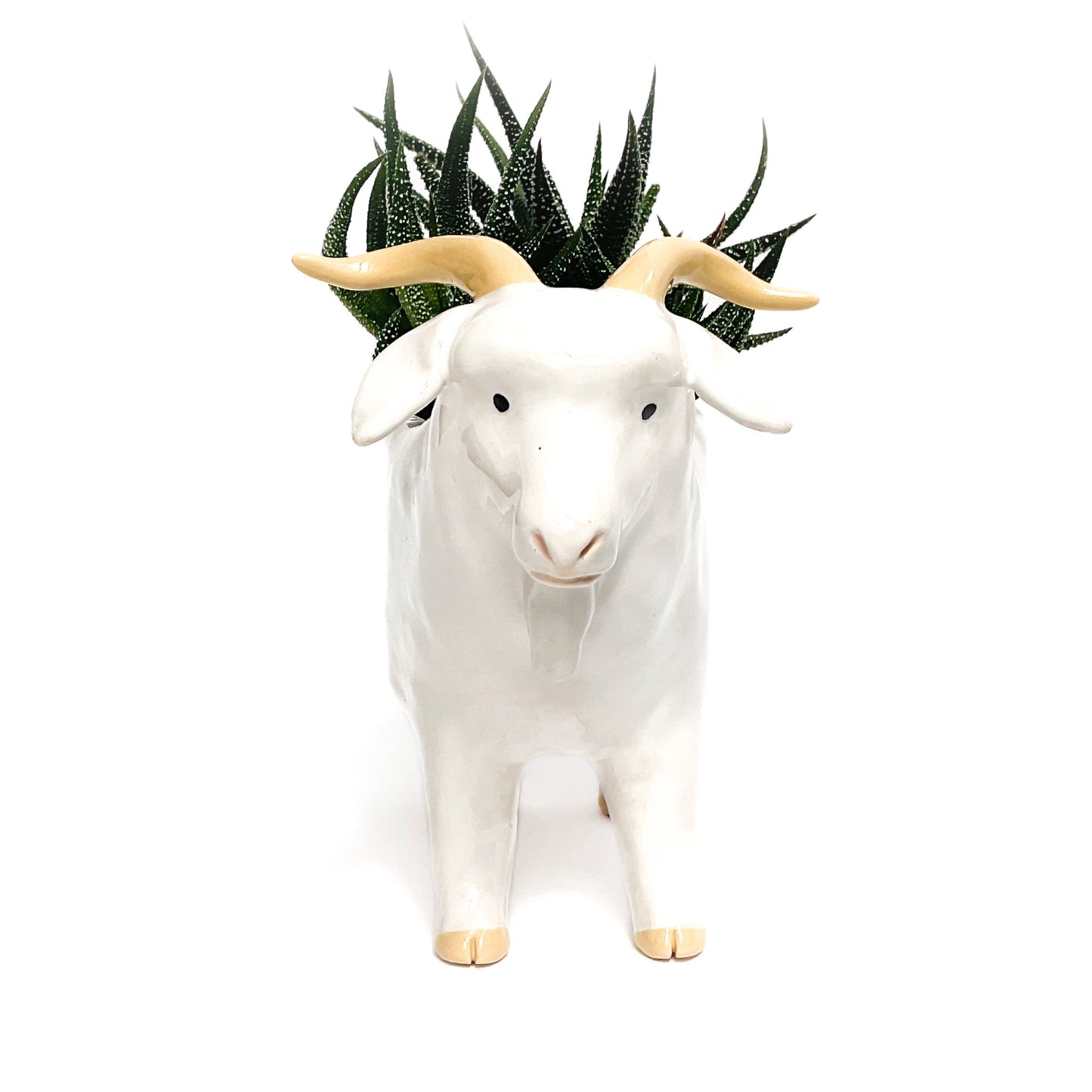 *Reserved* Angora Goat Pot - Ceramic Goat Planter
