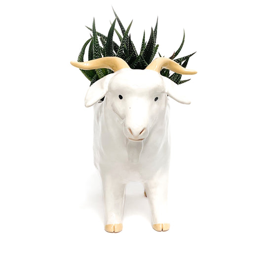 *Reserved* Angora Goat Pot - Ceramic Goat Planter