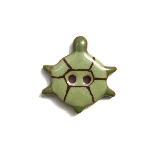 Wholesale 3/4" Turtle Bundle - Six 2-Packs