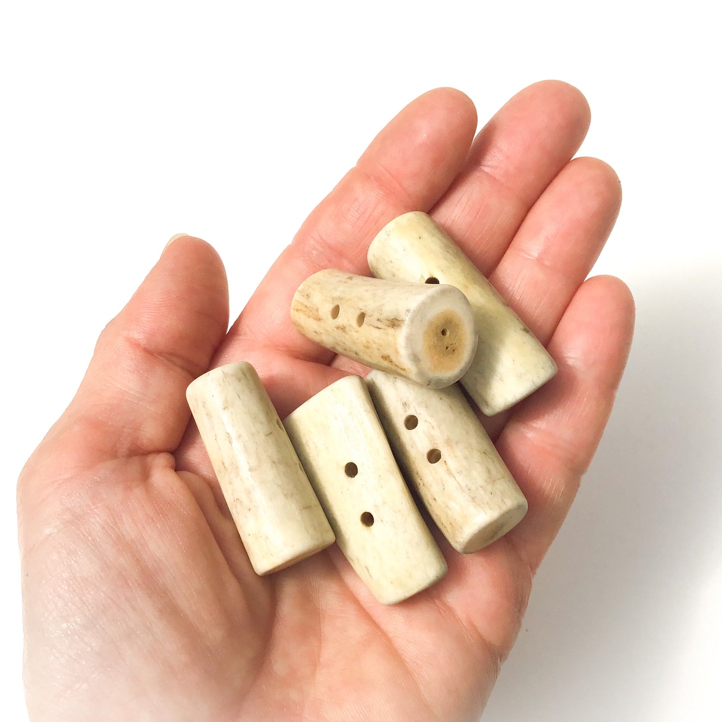 Large Deer Antler Shed Toggle Button  1-1/2"