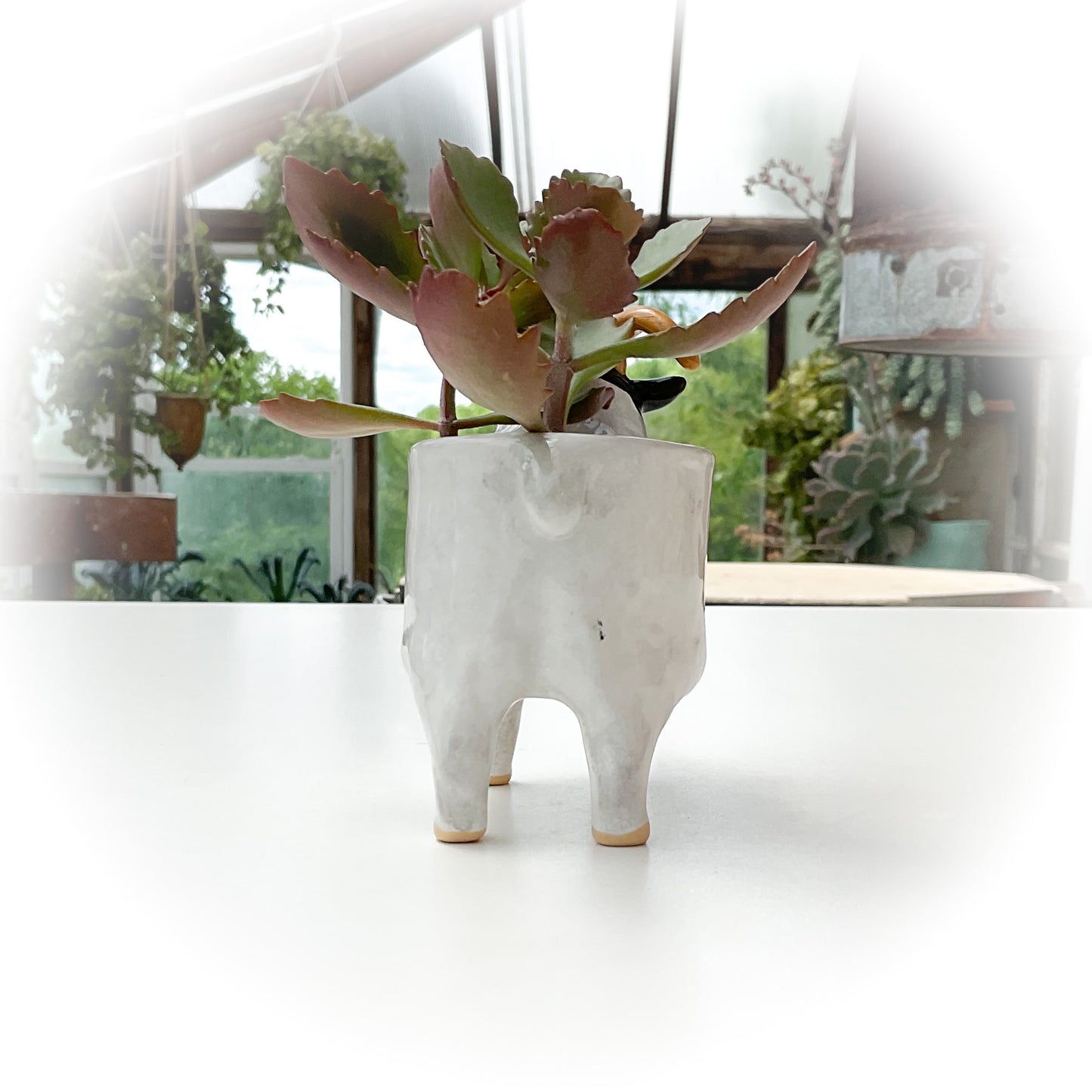 Black and White Sheep Pot - Ceramic Sheep Planter