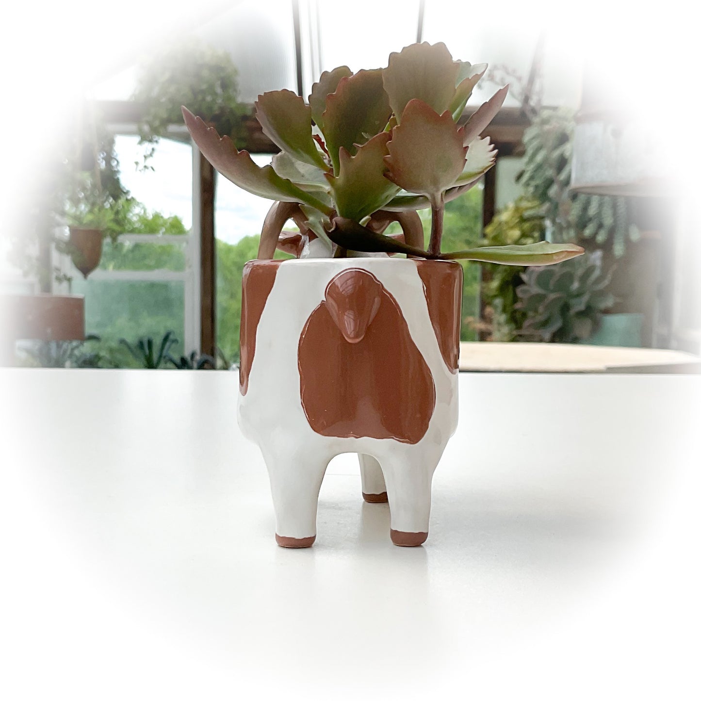 Spotted Icelandic Sheep Pot - Ceramic Sheep Planter