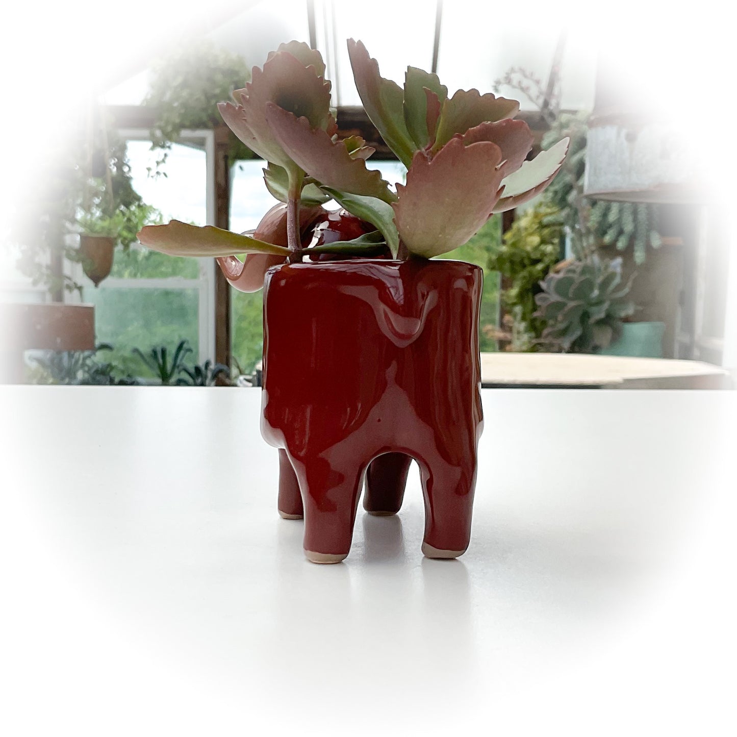 Chestnut Brown Sheep Pot - Ceramic Sheep Planter