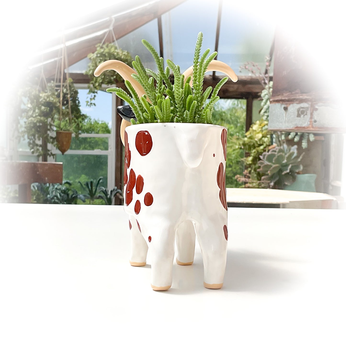 Four-Horned Jacob Sheep Pot - Ceramic Sheep Planter