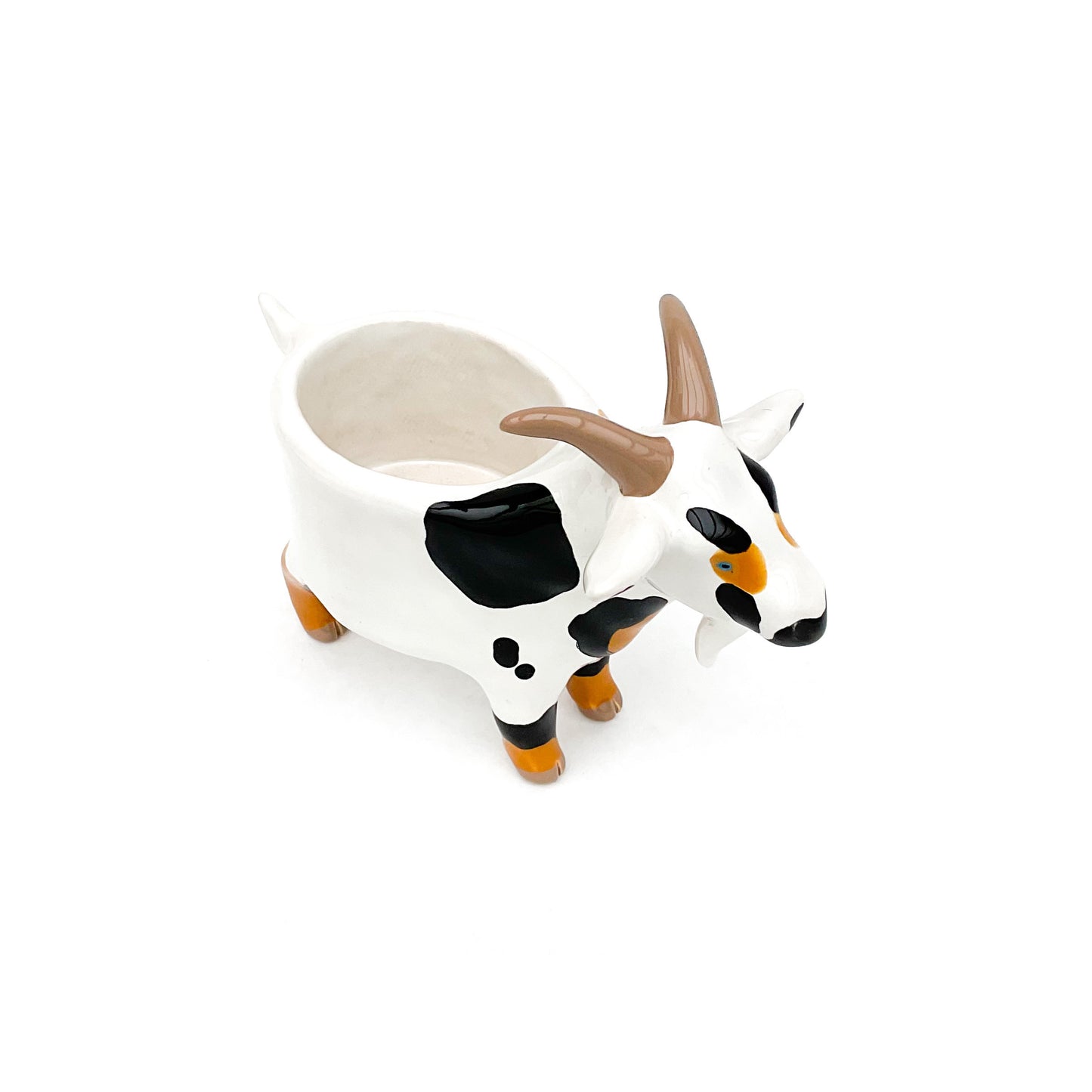 Black and Brown Pygmy Goat Pot