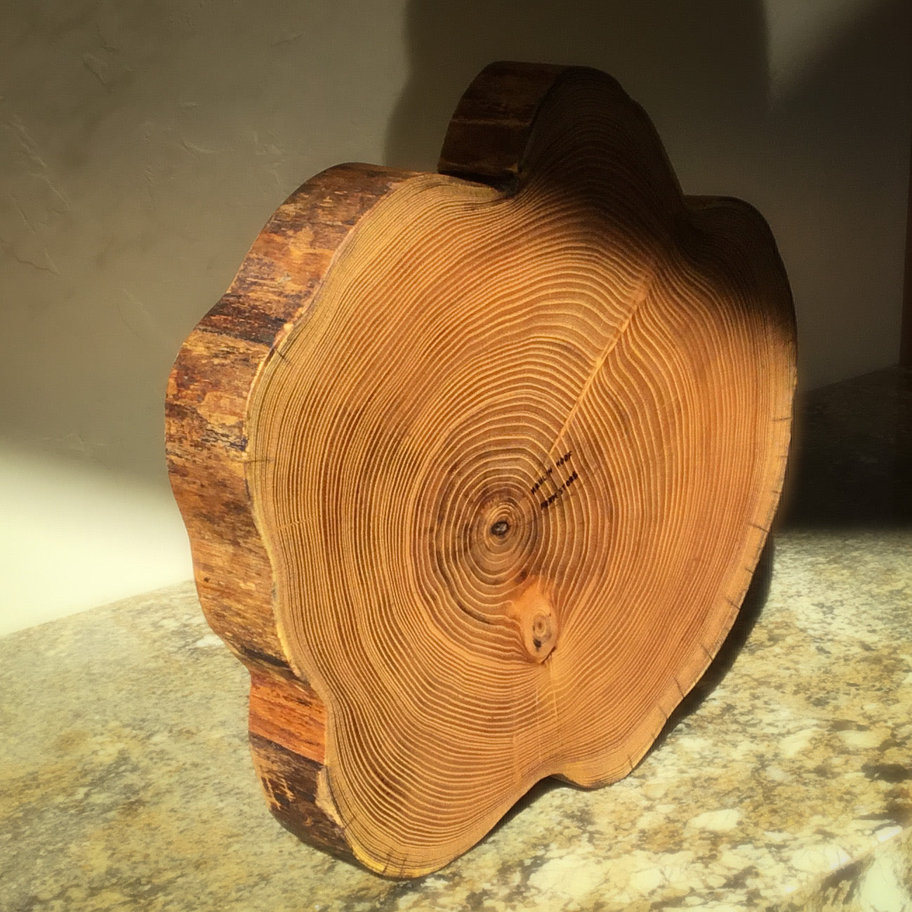 Natural Edge Black Locust Bowl - 16" diameter