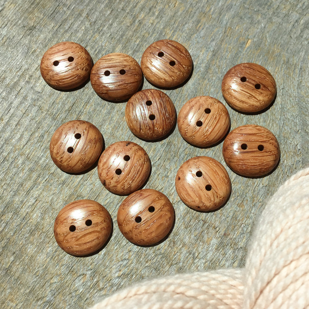 Polished Red Oak Buttons - 7/8”