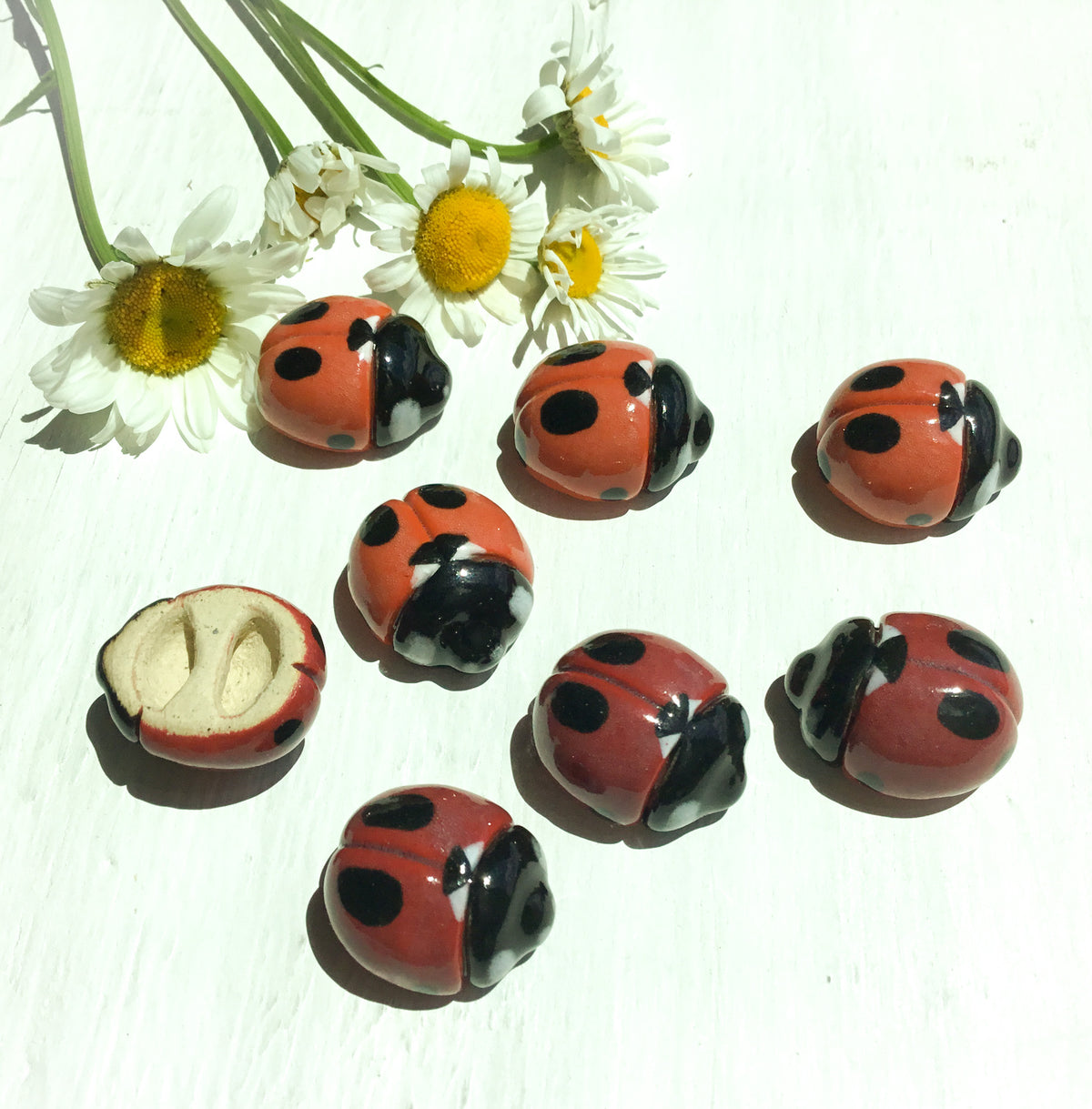 Hand-sculpted Ladybird Beetle Shank Buttons