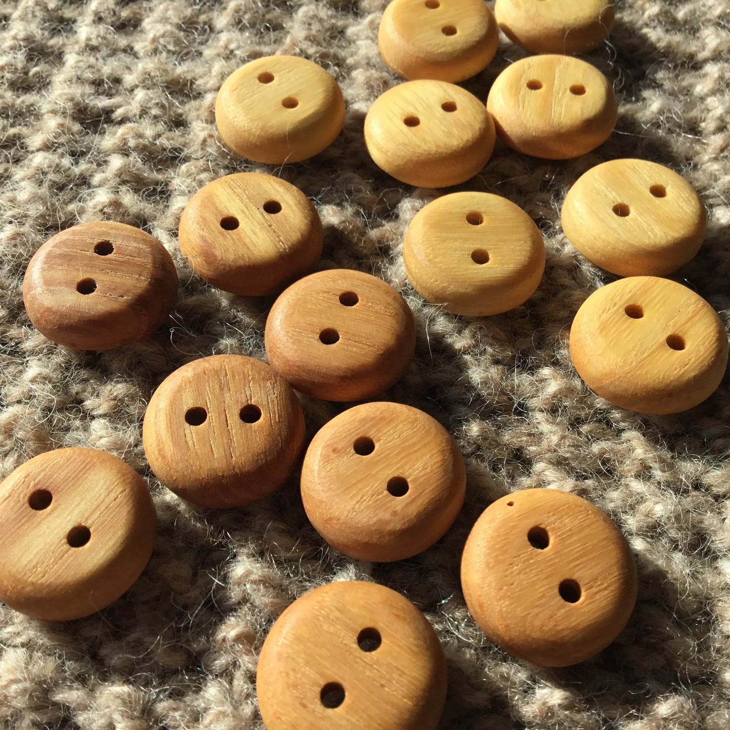 Everyday Ash Wood Button  3/4”