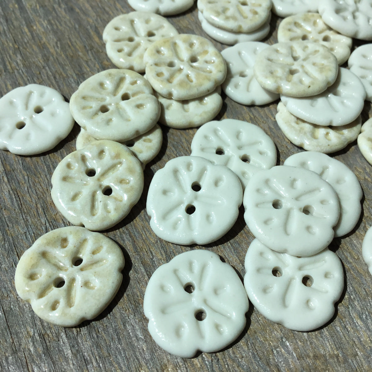 Sand Dollar Porcelain Button  11/16”