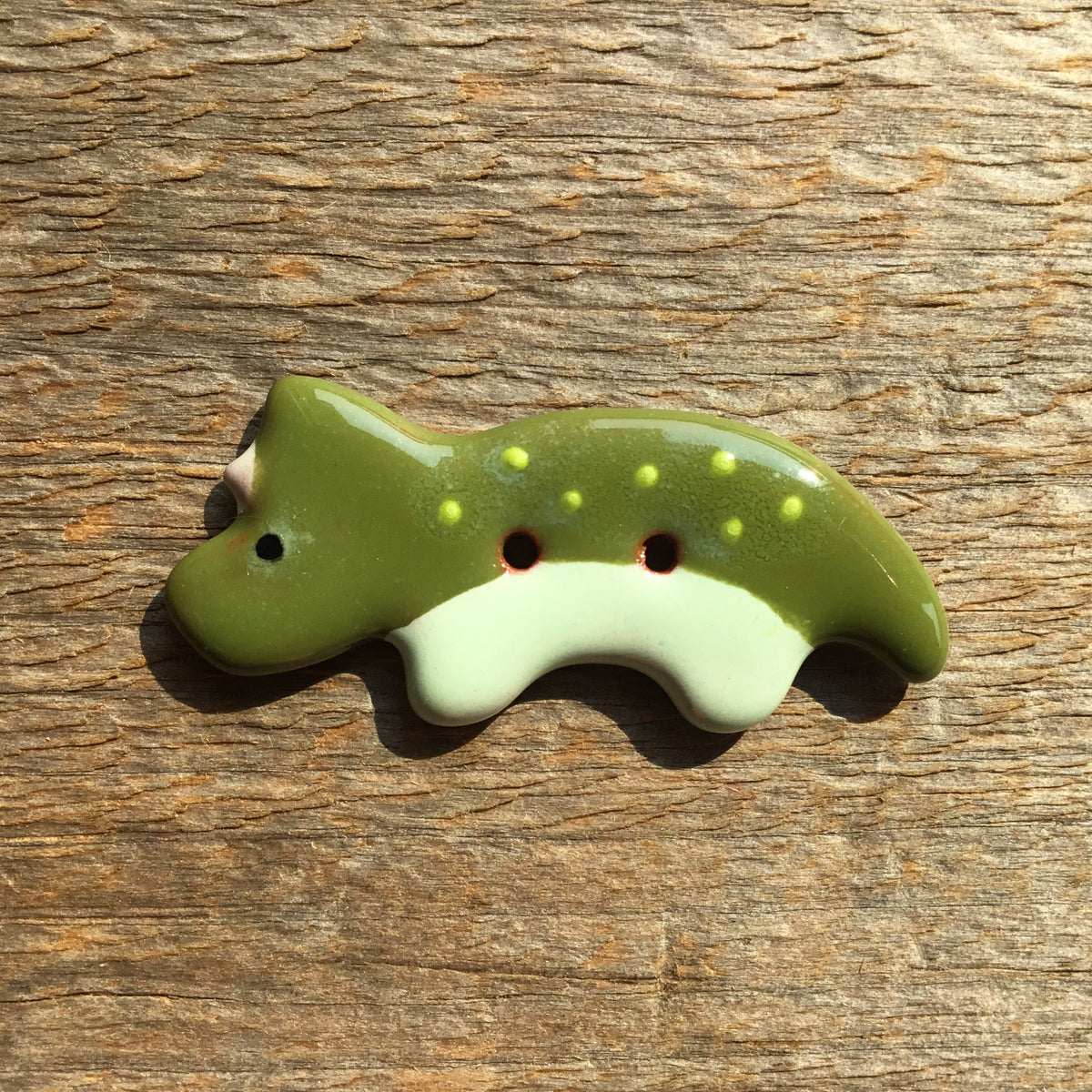 Vibrant Dinosaurs Earthenware Buttons