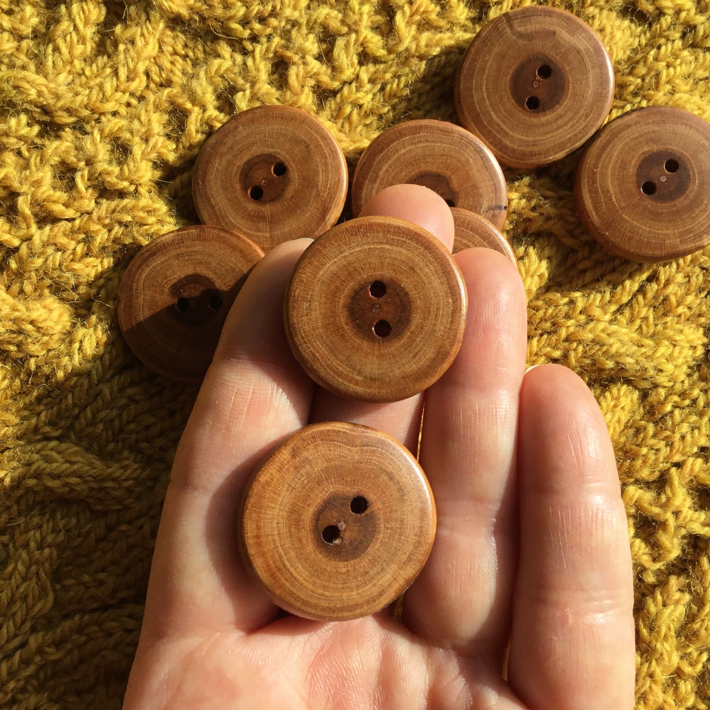 Polished Cherry Wood Cross-section Buttons  1-1/8”
