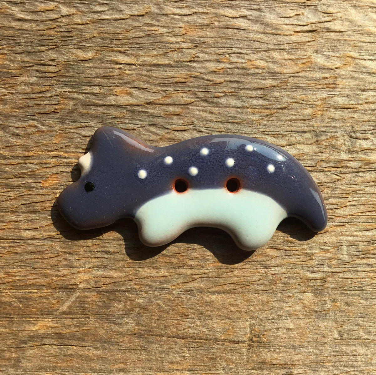 Vibrant Dinosaurs Earthenware Buttons