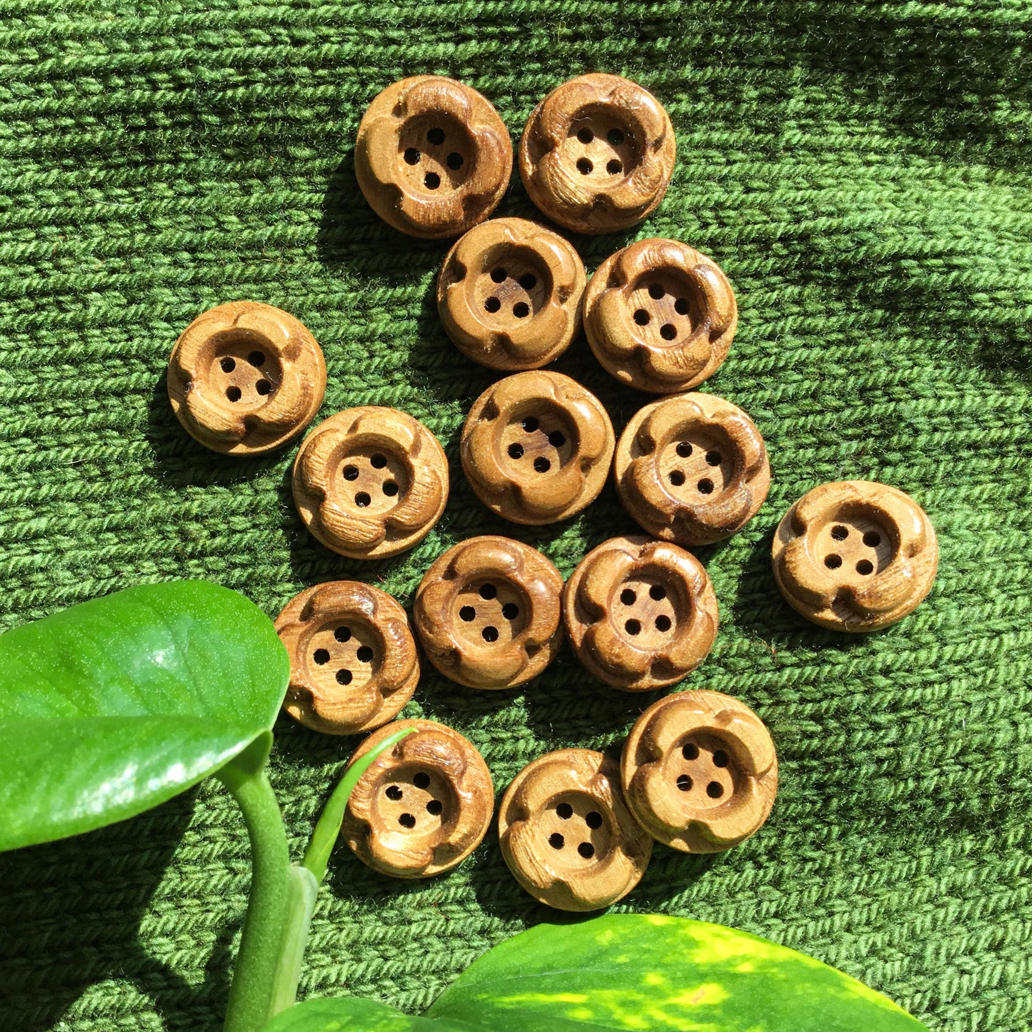 ‘Forest Flowers’ Sassafras Wood Buttons  3/4”