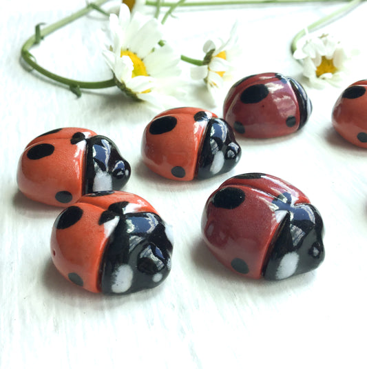 Hand-sculpted Ladybird Beetle Shank Buttons