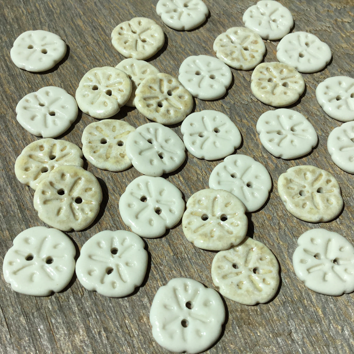 Sand Dollar Porcelain Button  11/16”