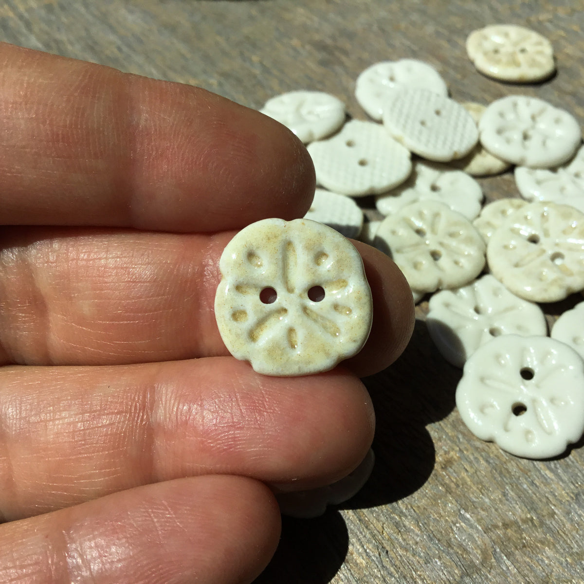 Sand Dollar Porcelain Button  11/16”