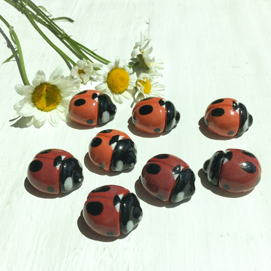 Hand-sculpted Ladybird Beetle Shank Buttons