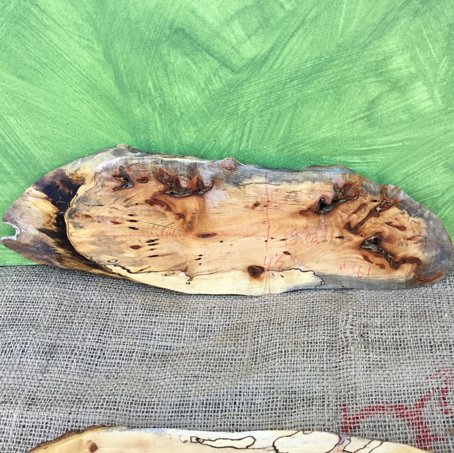 Spalted Maple Live Edge Wood Slice - 15.25" x 4.25" x 1"