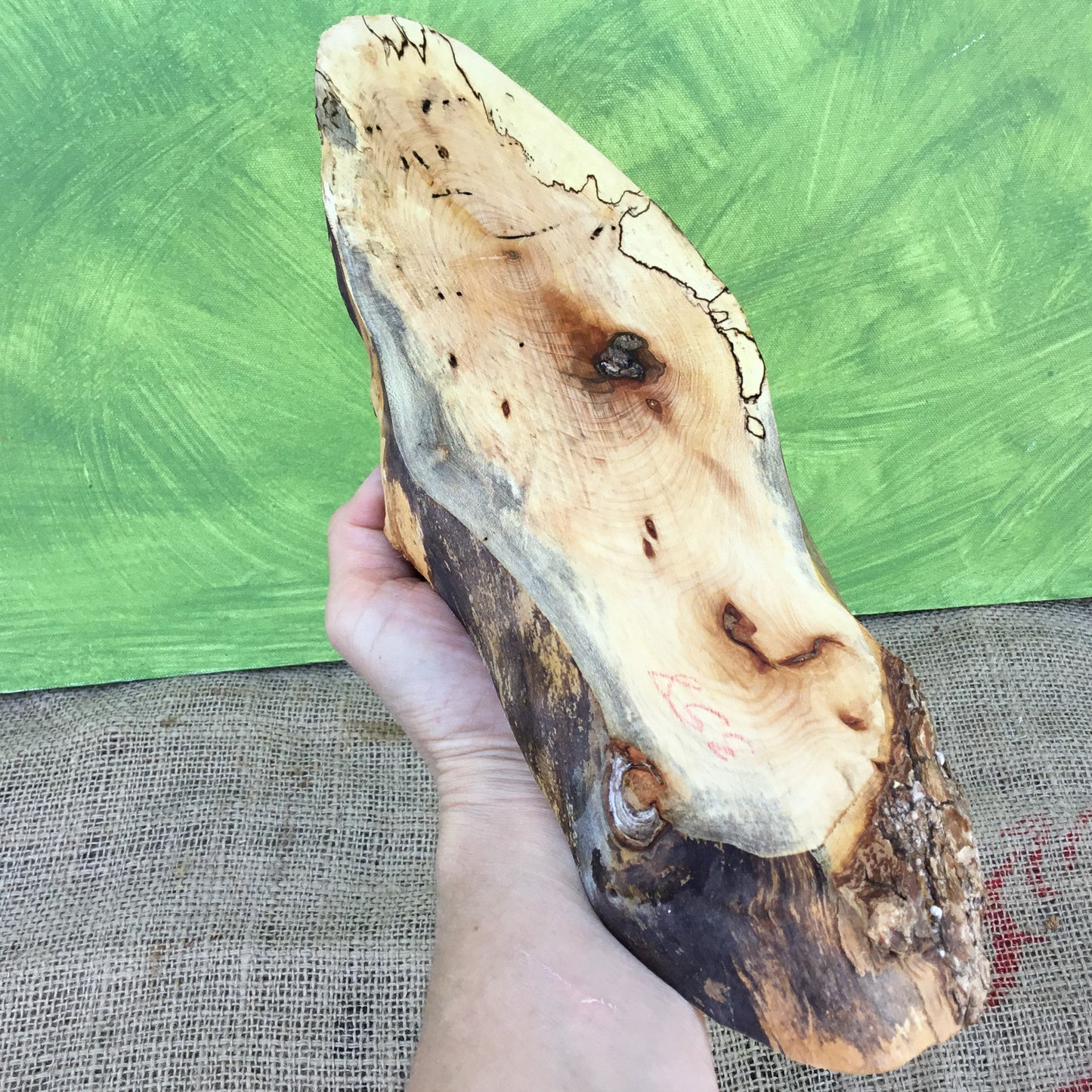 Spalted Maple Live Edge Wood Slice - 15.25" x 4.25" x 1"