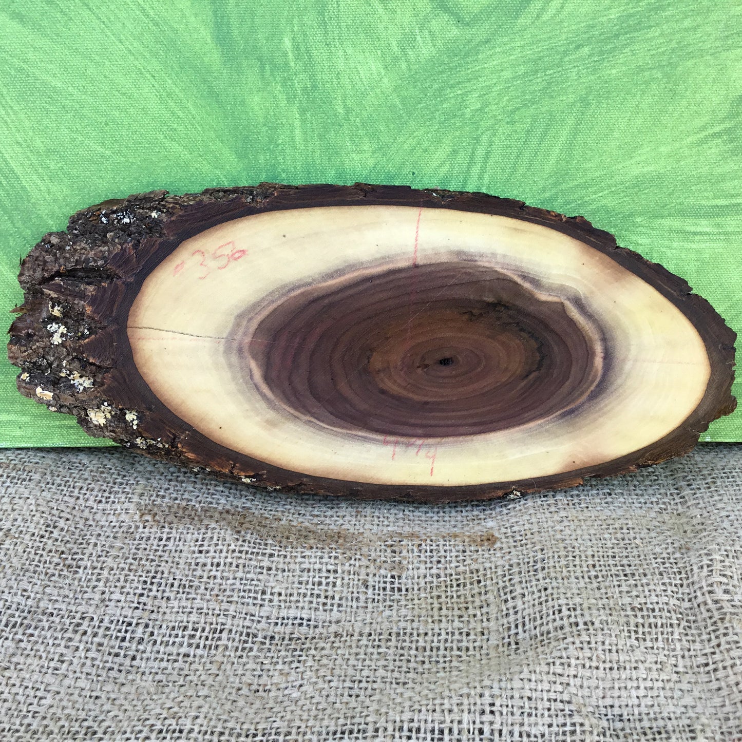 Black Walnut Live Edge Wood Slice - 11"  x 4.5" x 1"