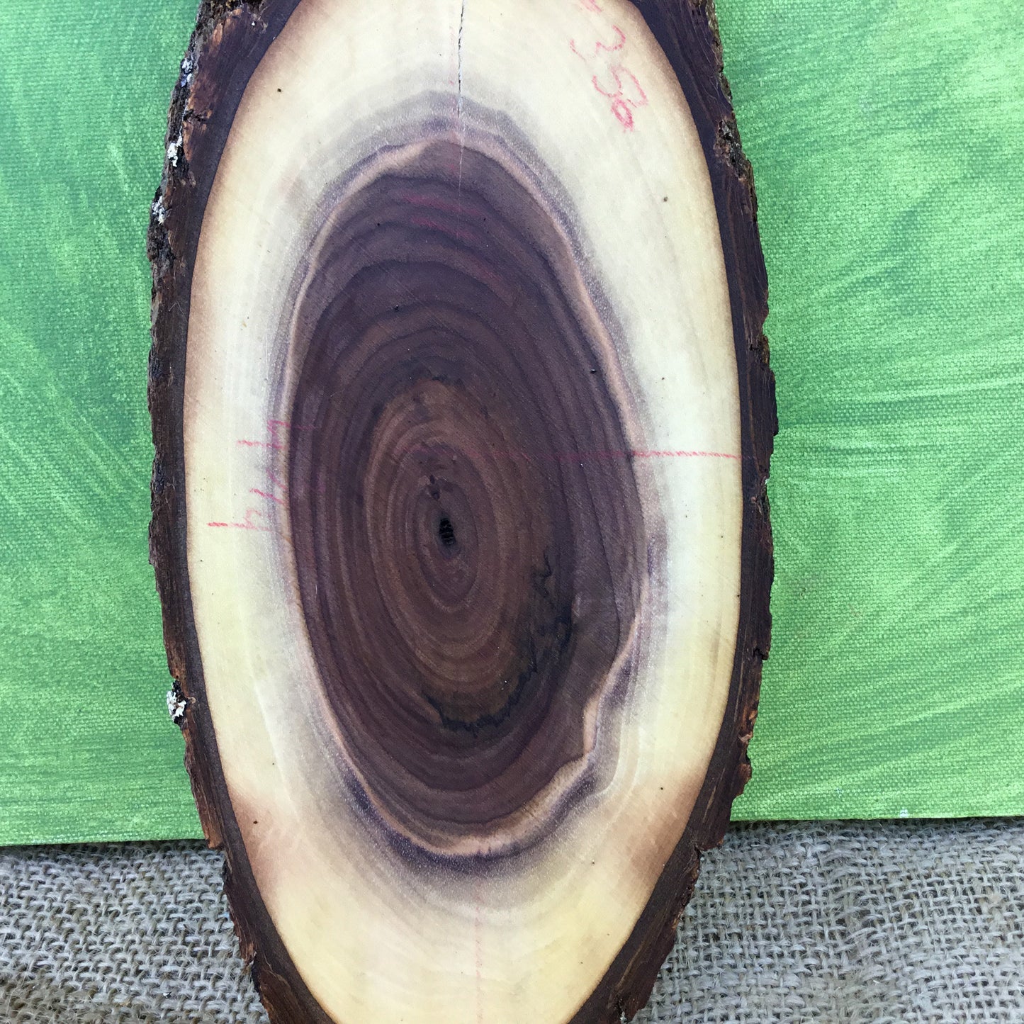 Black Walnut Live Edge Wood Slice - 11"  x 4.5" x 1"