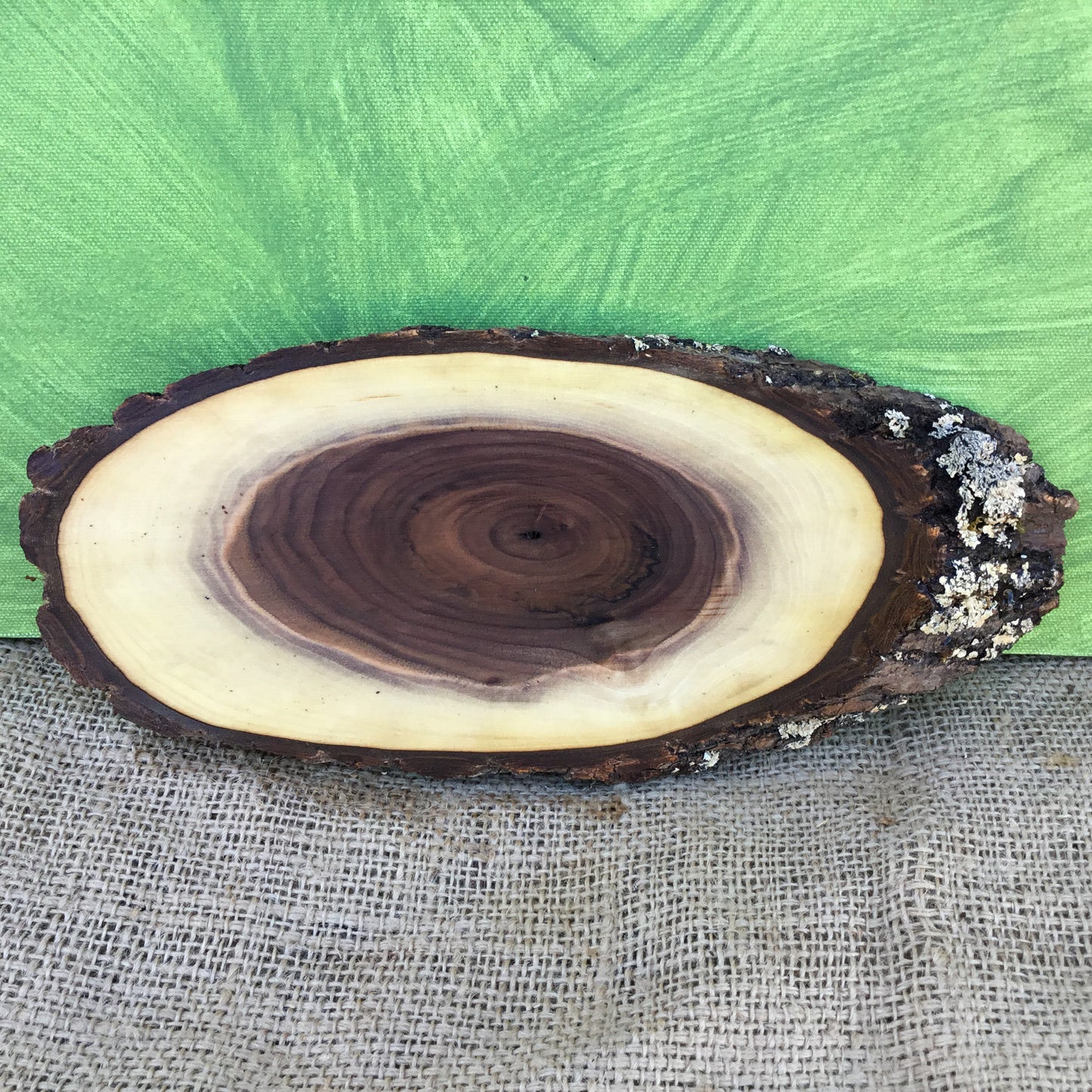 Black Walnut Live Edge Wood Slice - 11"  x 4.5" x 1"